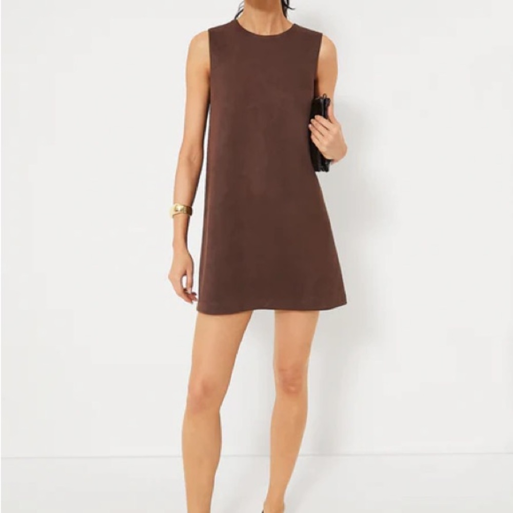 Hyacinth House Sleeveless Brown Mini Dress